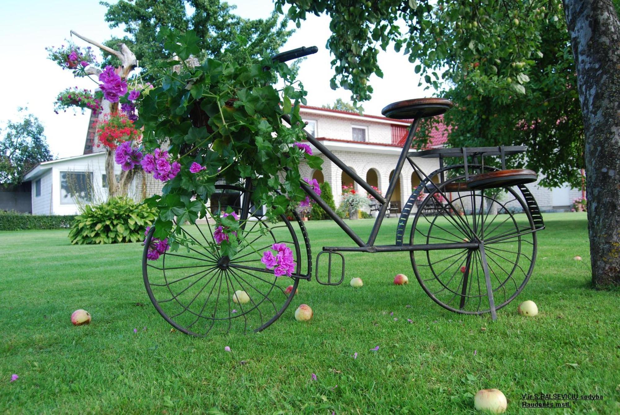 Stasio Balseviciaus Homestead Raudonė Exteriér fotografie